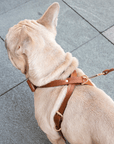 Cross Harness