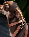 Cross Harness