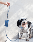 Classic Leash