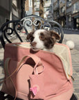 City Pet Carrier