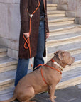 Loop Crossbody Leash