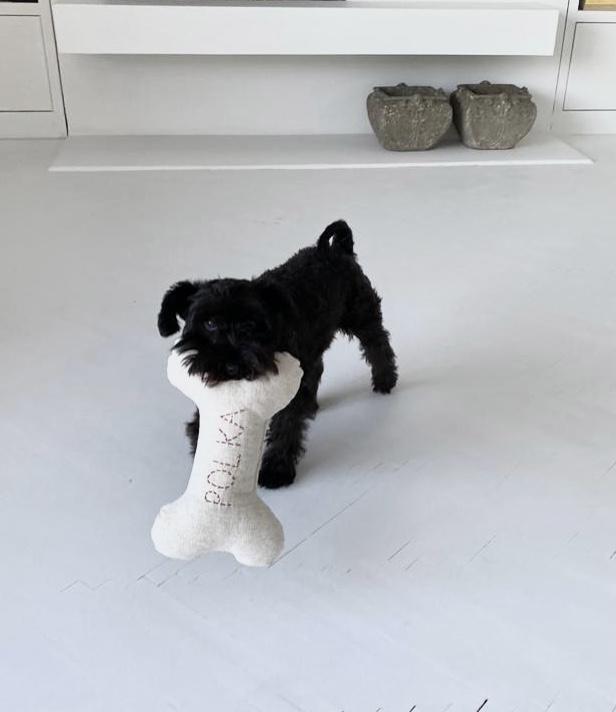 Personalised Bone Pillow