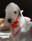 Lovefold Bandana