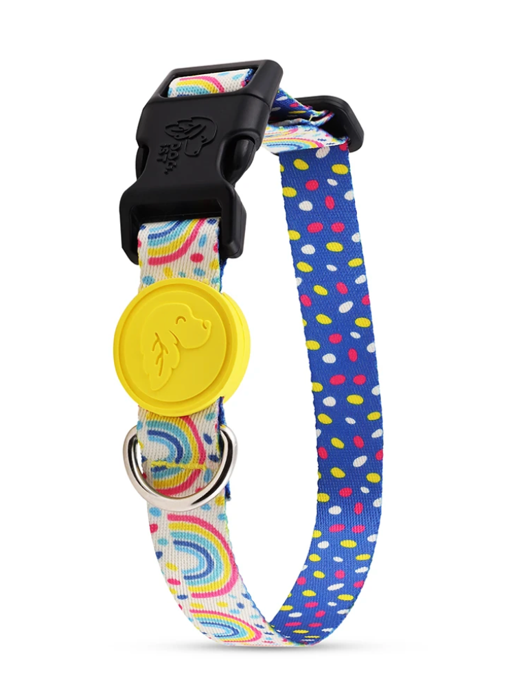 Rainbow Dash Dog Collar