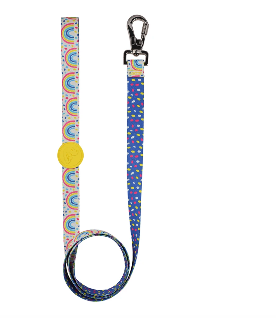 Rainbow Dash Dog Leash