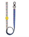 Rainbow Dash Dog Leash