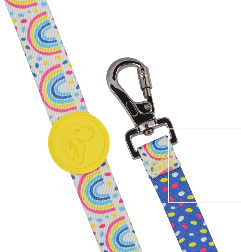 Rainbow Dash Dog Leash