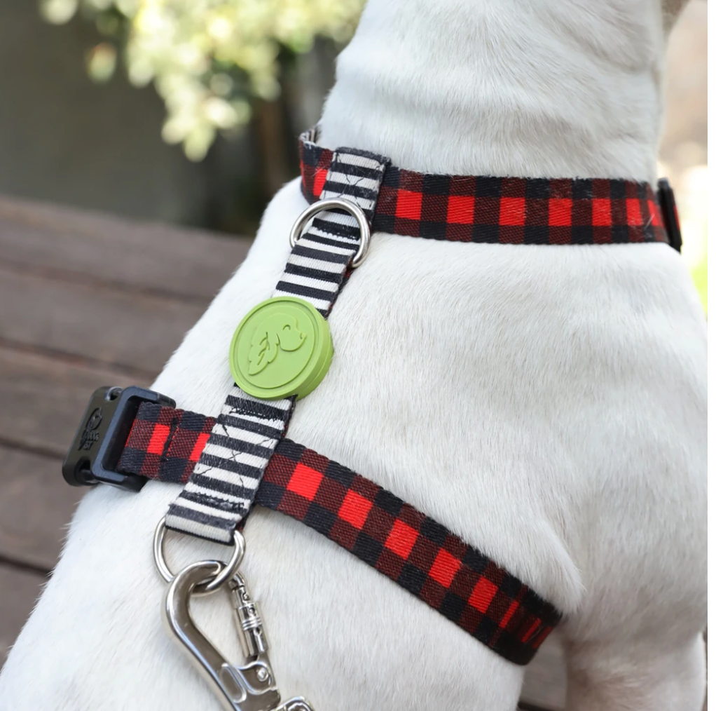 Plaid Dog Harness