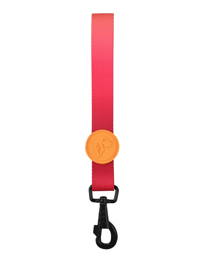 Flame Dog Safety Belt for Cars