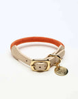 Loop Collar