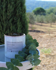Blue Anemon Mermer - %100 Doğal Soya Mumu