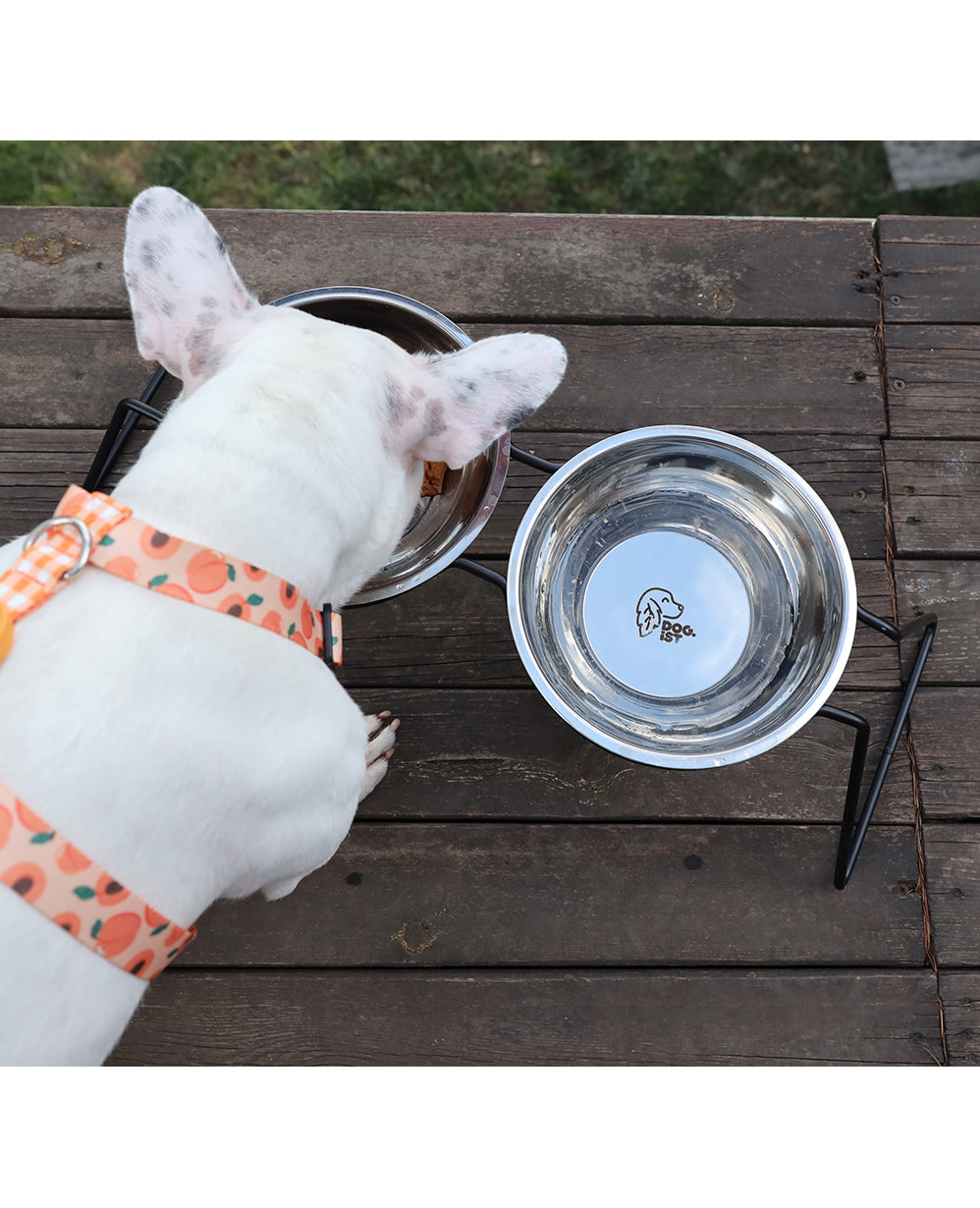 Stone Steel Food Bowl Kit