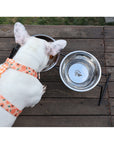 Stone Steel Food Bowl Kit