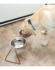 Copper Stainless Steel Food Bowl Kit