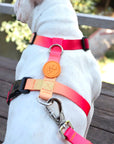 Flame Dog Harness