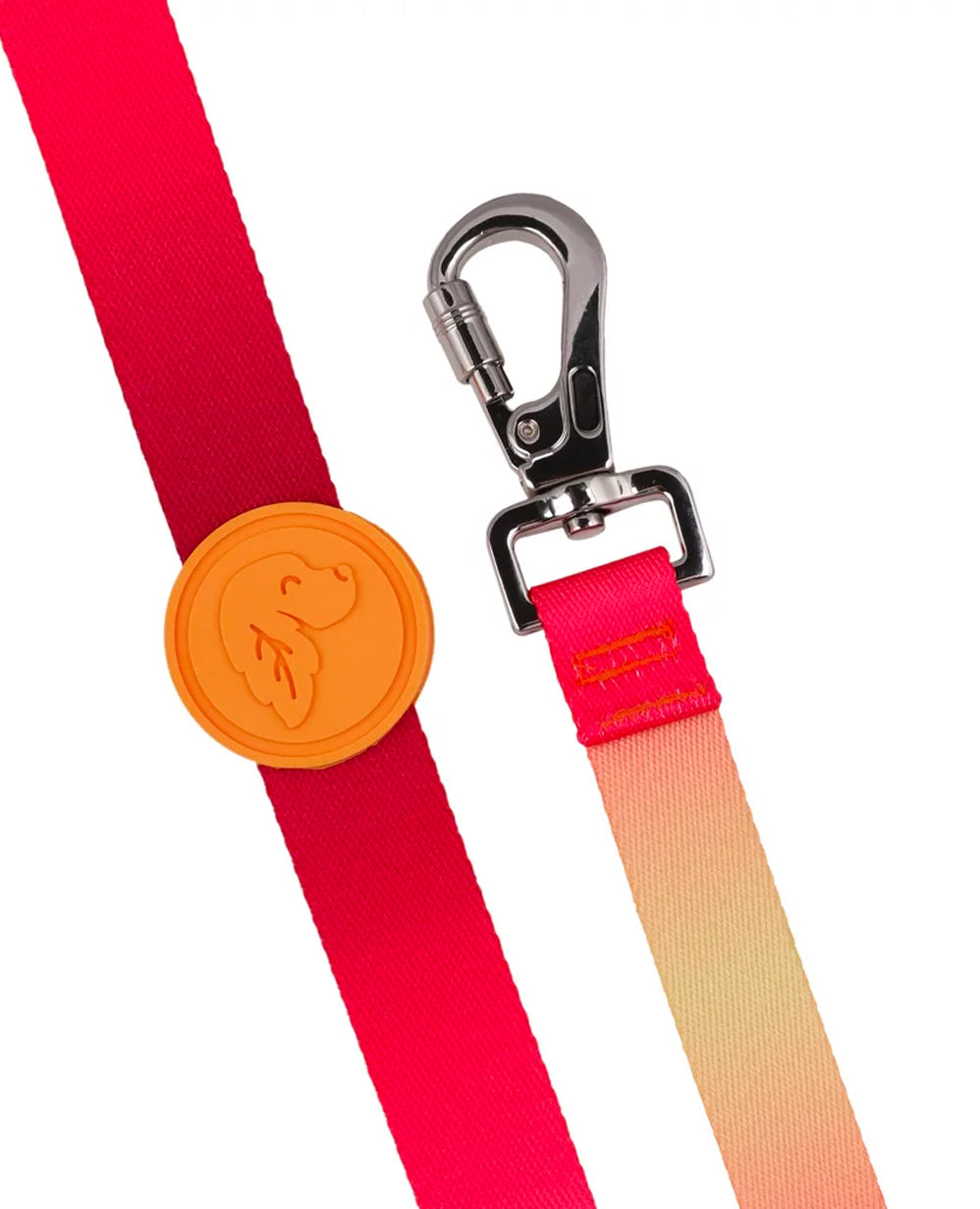 Flame Dog Leash