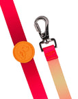 Flame Dog Leash