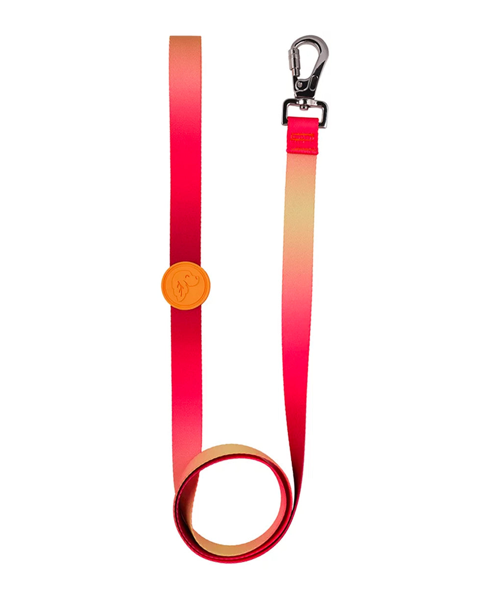 Flame Dog Leash