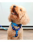 Ocean Dog Harness