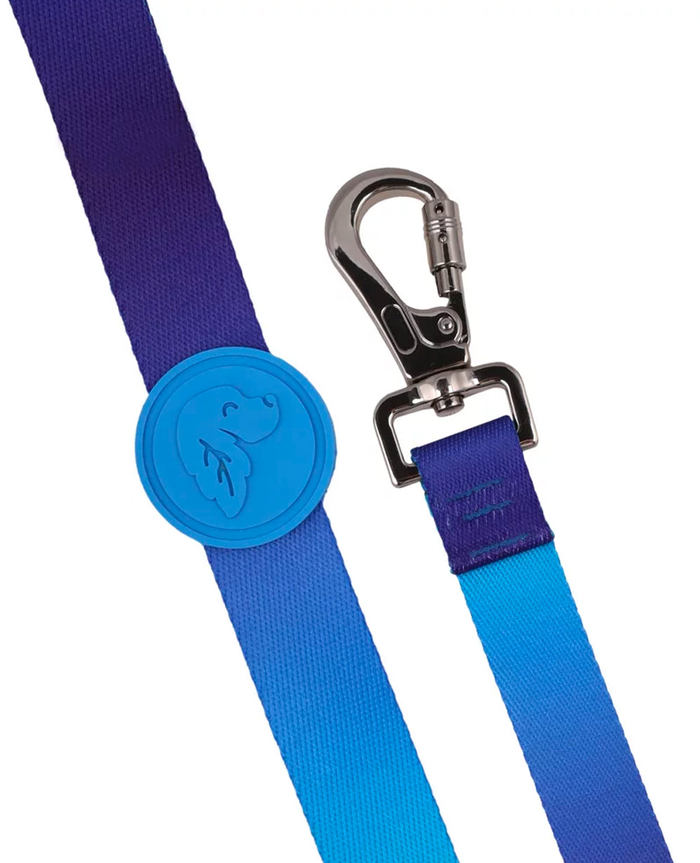 Ocean Dog Leash