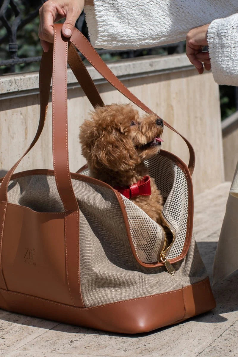 City Pet Carrier
