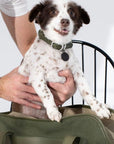 Loop Collar