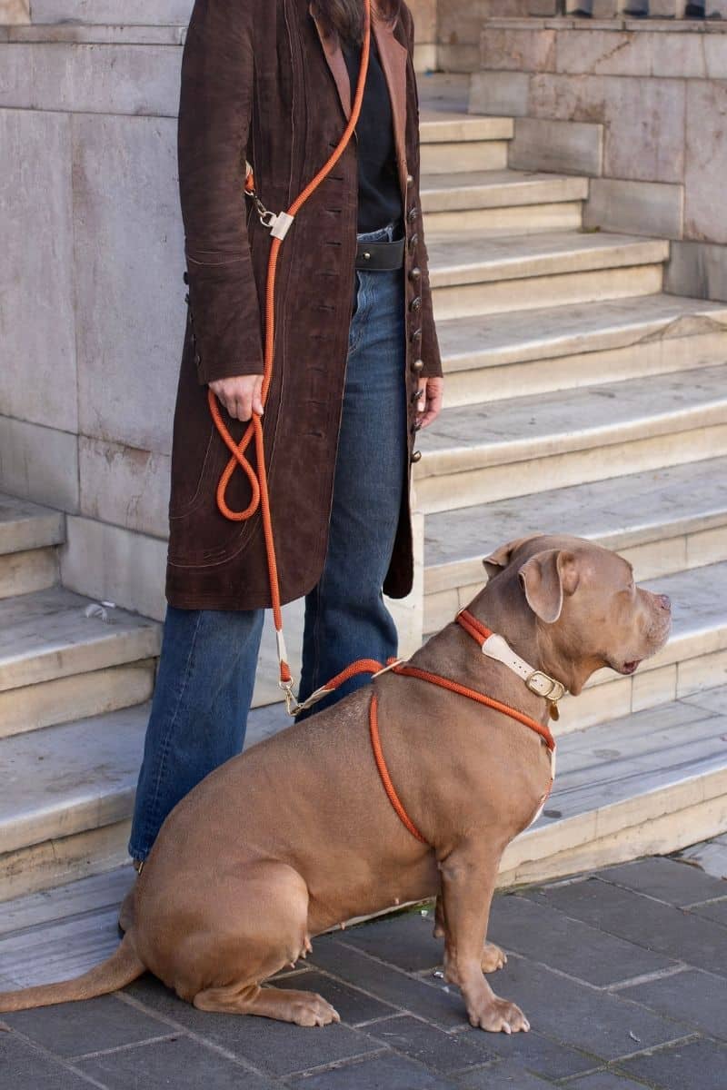 Loop Crossbody Leash