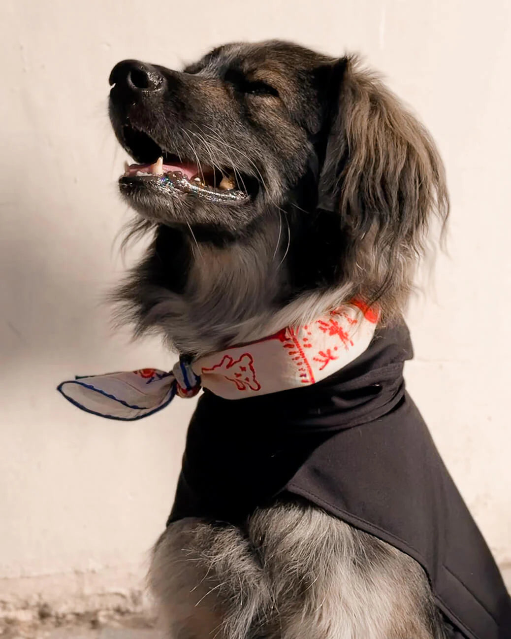 Lovefold Bandana