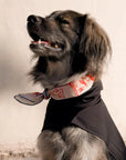 Lovefold Bandana