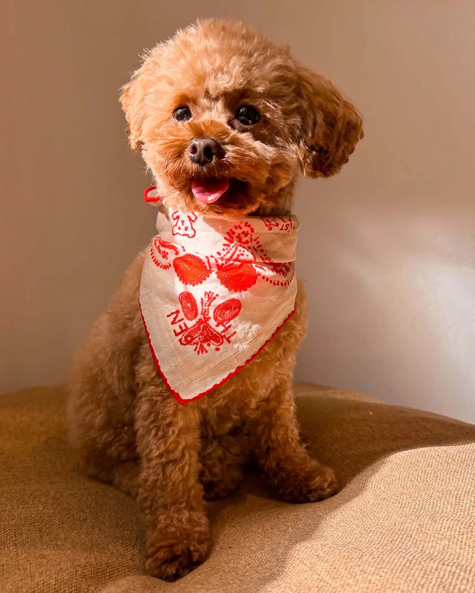 Lovefold Bandana