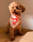 Lovefold Bandana
