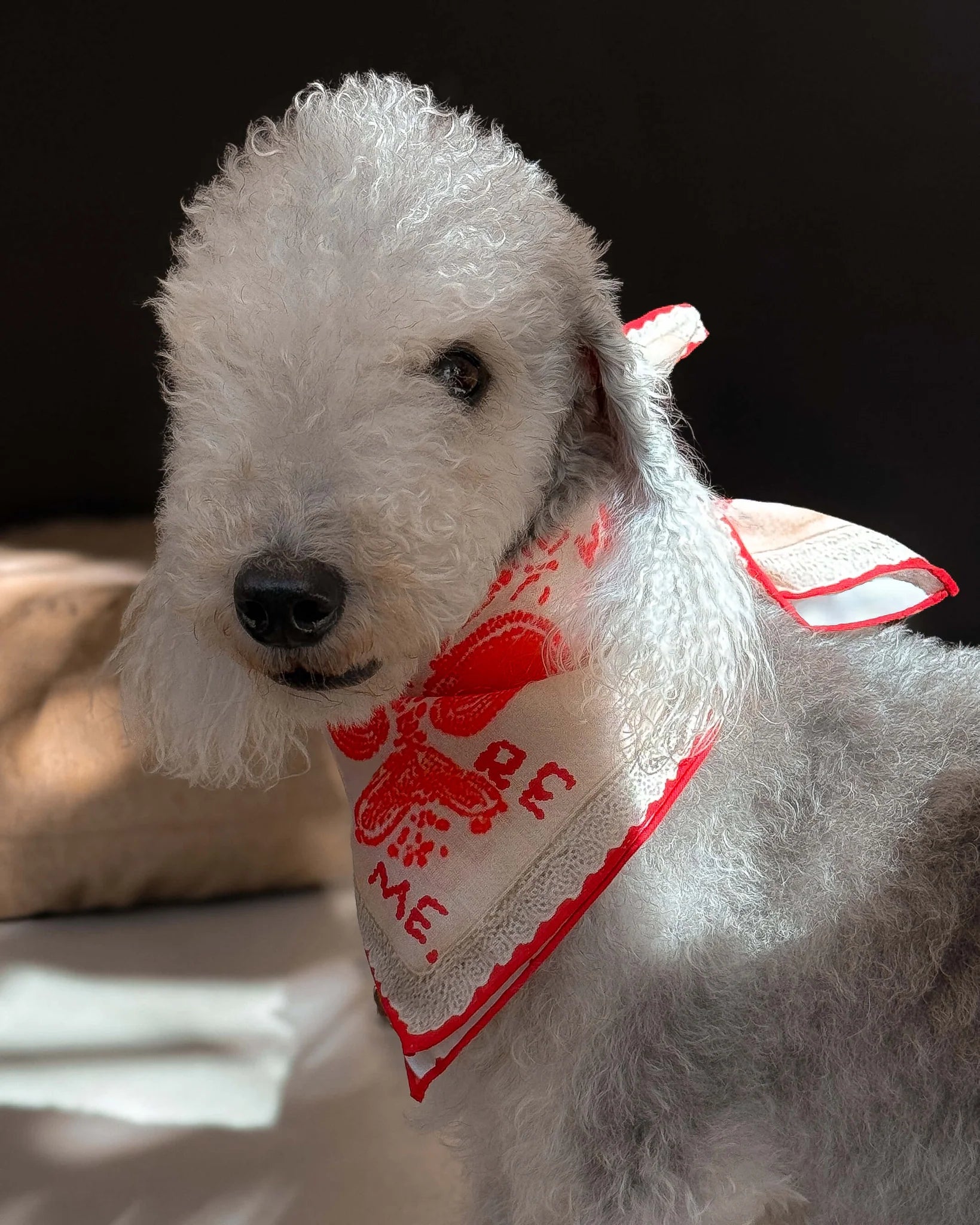 Lovefold Bandana