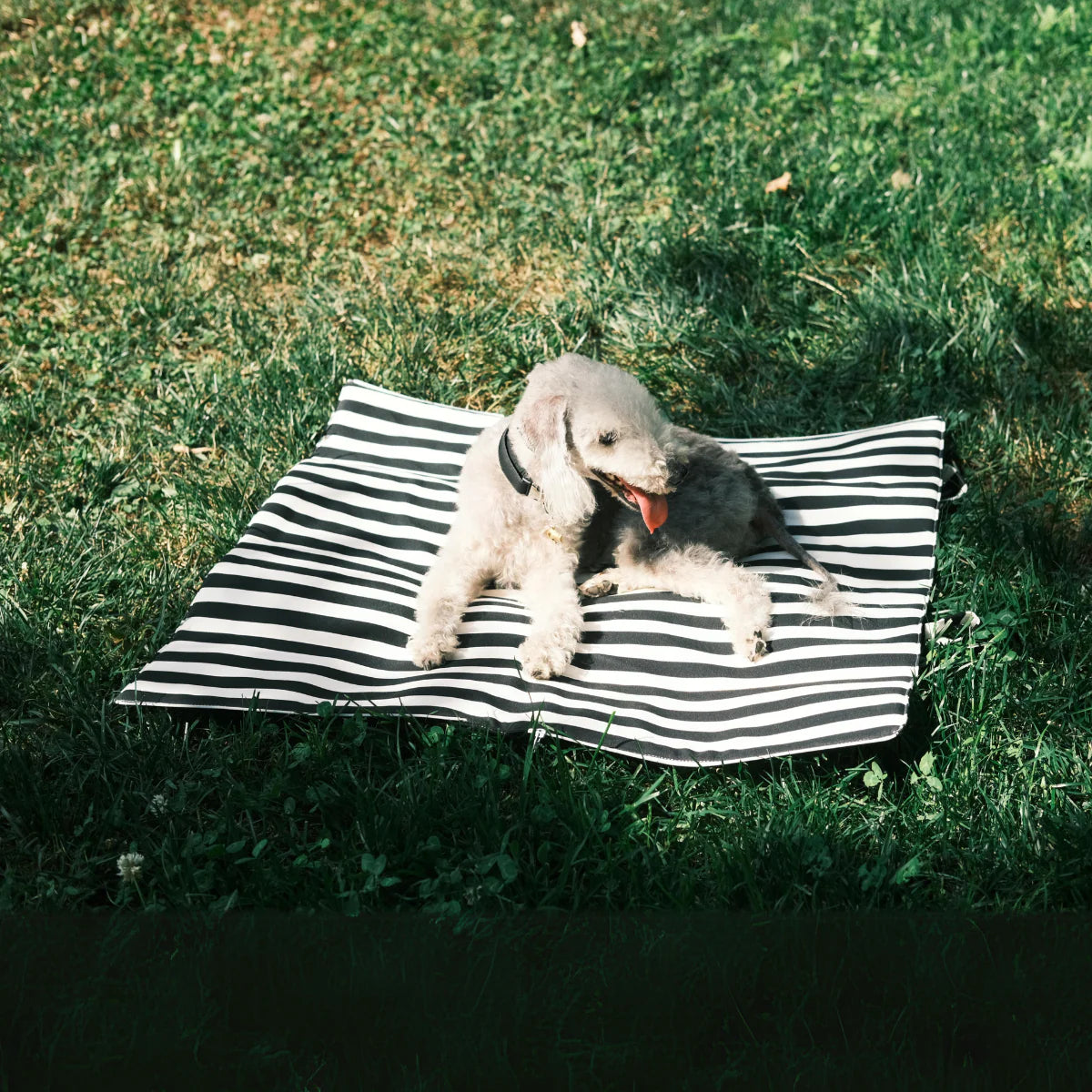 Mat-in-a-Bag Tote and Floor Cushion