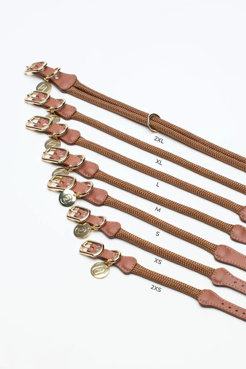 Loop Collar