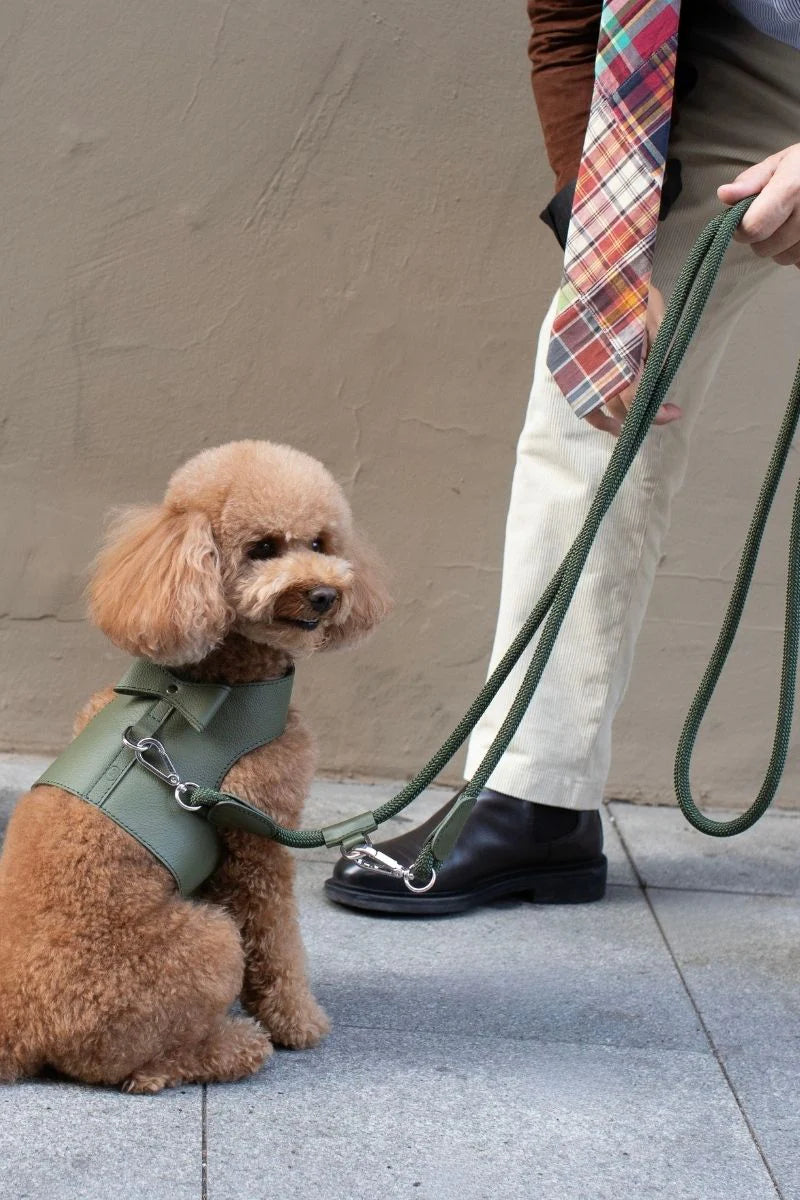 Loop Crossbody Leash