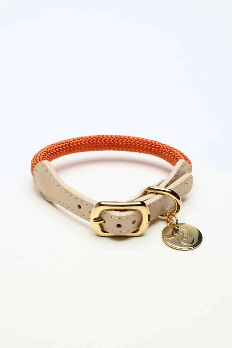 Loop Collar