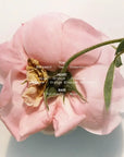 Earth Love Eau De Parfum