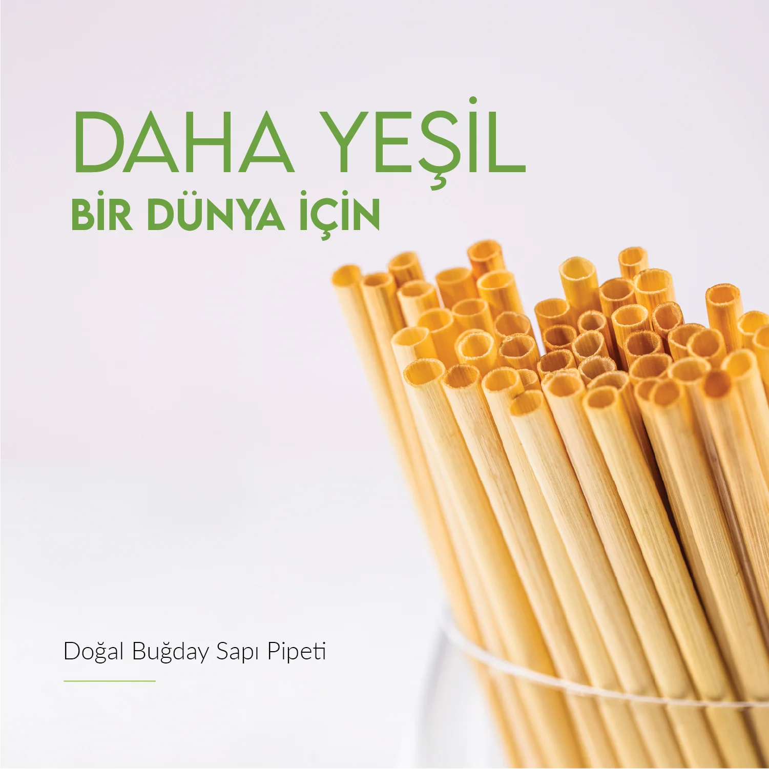 %100 Sürdürülebilir Buğday Samanı