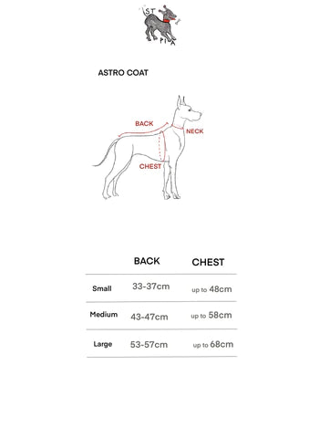 Astro Ultimate Winter Coat