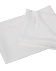 Companion Linen Napkin Set of 2